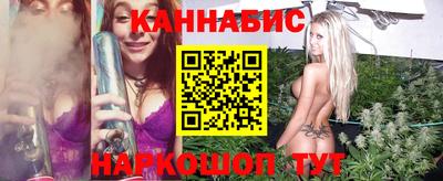 стаф Будённовск