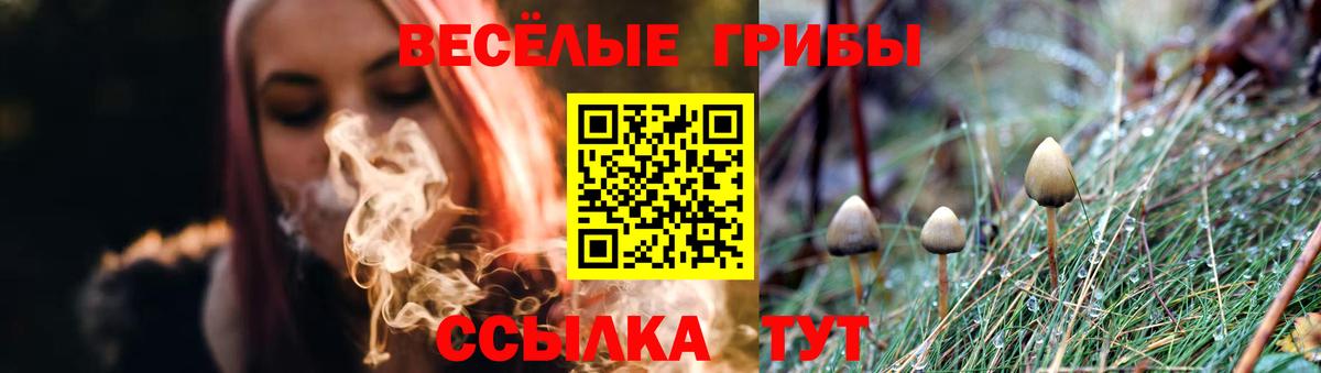 Галлюциногенные грибы прущие грибы  Псилоцибиновые грибы ЛСД  Новоалтайск  Вход с VPN 