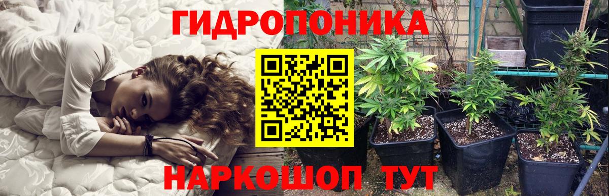 Бошки Шишки сатива Новоалтайск